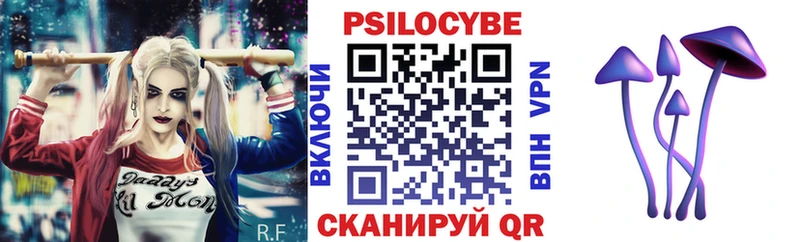 закладки  Могоча  Галлюциногенные грибы MAGIC MUSHROOMS 